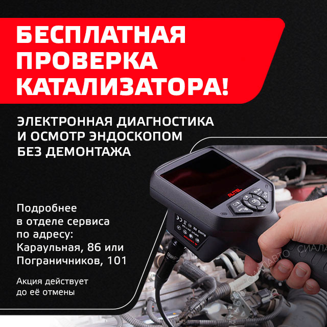 Бесплатная проверка катализатора